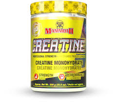 creatine mammoth 300G